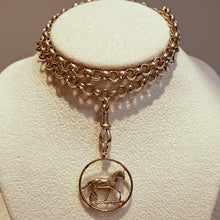 Load image into Gallery viewer, 9ct Gold Horse with Chain Necklace
