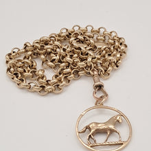 Load image into Gallery viewer, 9ct Gold Horse with Chain Necklace
