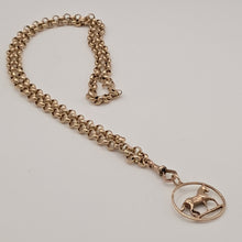 Load image into Gallery viewer, 9ct Gold Horse with Chain Necklace
